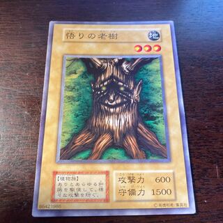 遊戯王　悟りの老樹
