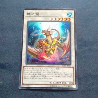 瑚之龍　【木林堂】