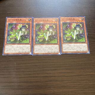 Traptrix Vesiculo Normal