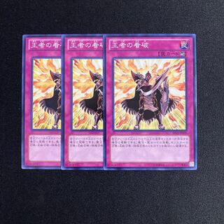 o204 Champion's Vigilance 3-card set Yu-Gi-Oh Treasure