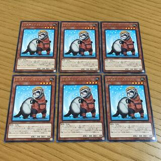 Rescue Ferret rare, set of 6