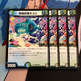 Coral Fairy Kiuri 238