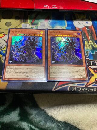 Ships within 2 days Lord of the Heavenly Prison Ultra Set of 2