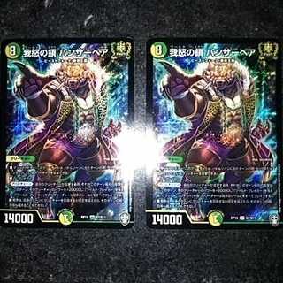 我怒の鎖　パンサーベア