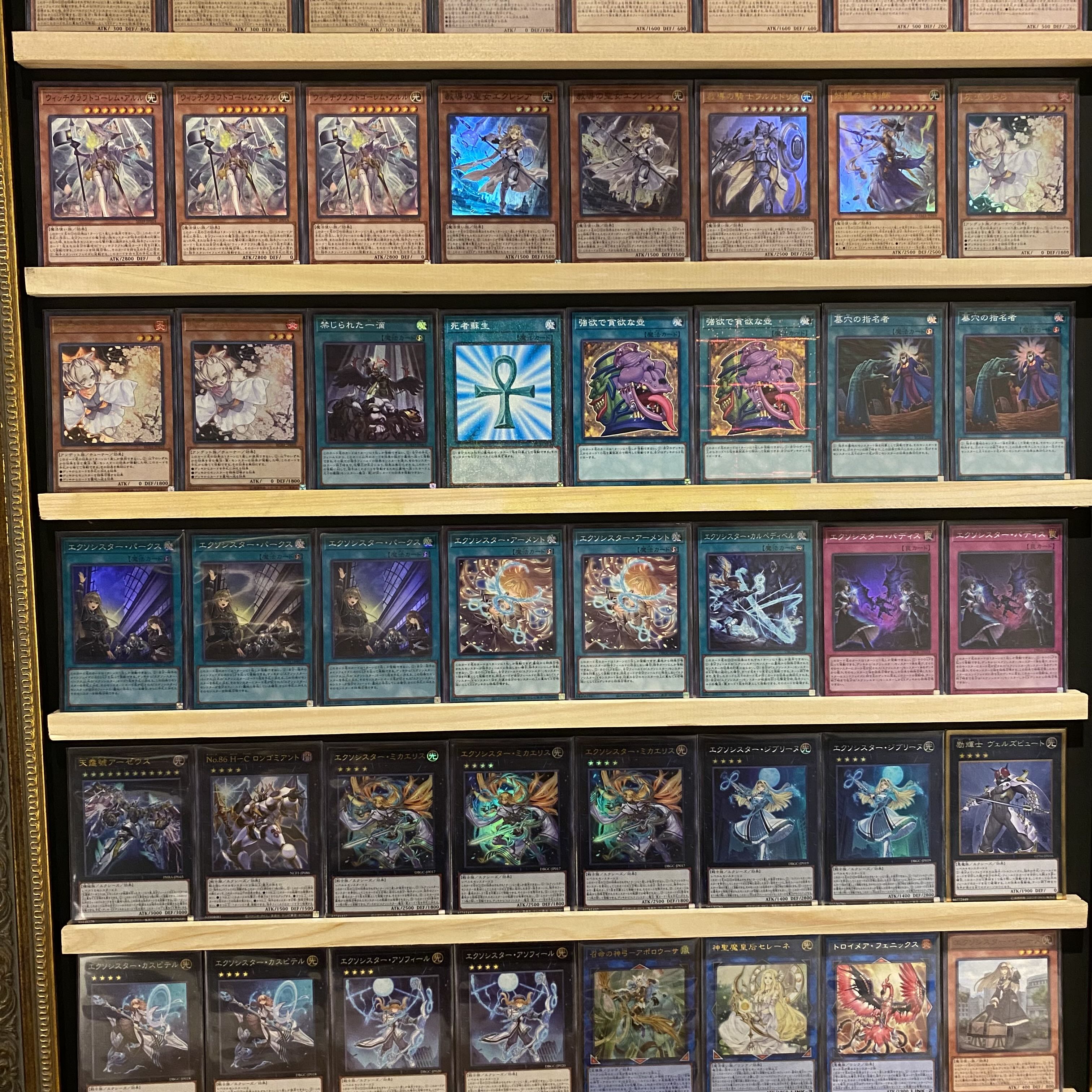 Same day shipping! ExoSister] Deck for Competition Yu-Gi-Oh! 1枚