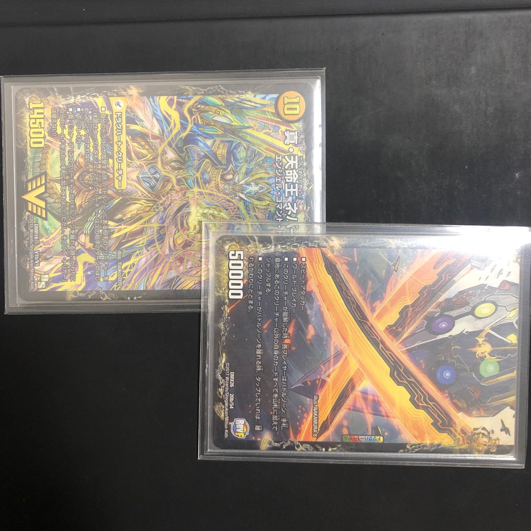 True Sacred Church Endless Heaven｜True Heavenly King Never End