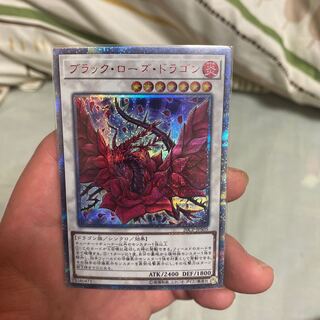 【PSA10】ブラックローズドラゴン　20thシークレットレア PSA10 ブラック・ローズ・ドラゴン ブラックローズドラゴン 20th
