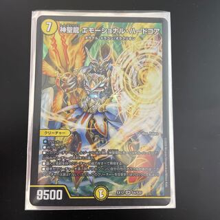 神聖龍 エモーショナル・ハードコア SR