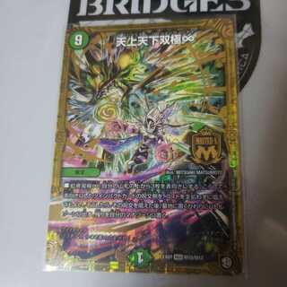 天上天下双極∞