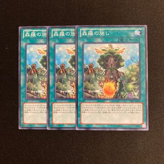 o275 森羅の施し 3枚セット 遊戯王 トレトレ