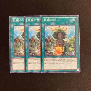 o276 森羅の施し 3枚セット 遊戯王 トレトレ