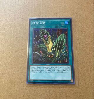 Predapractice Super Rare