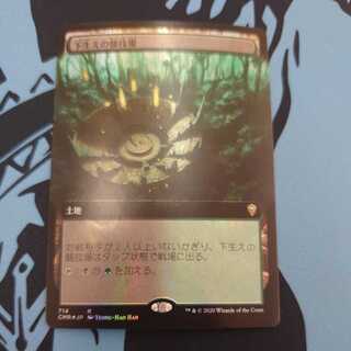 Undergrowth Stadium Expansion Foil 1枚