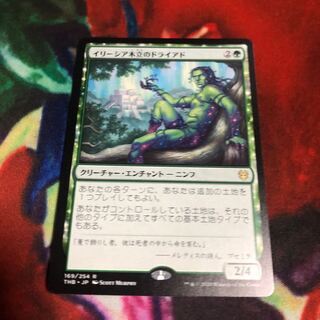 イリーシア木立のドライアド　日1枚