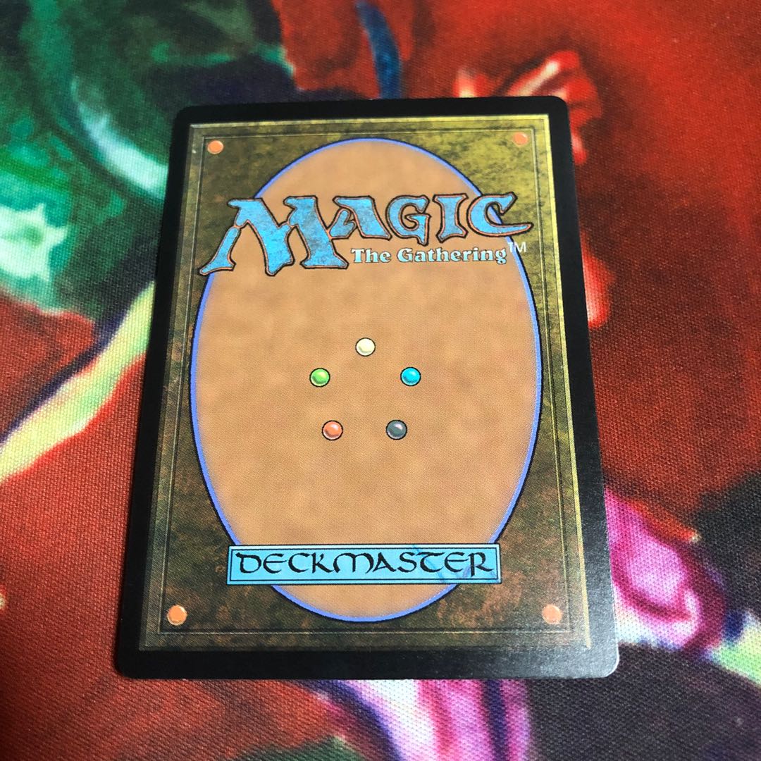 食らいつくし　日1枚