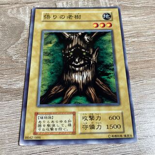 遊戯王　悟りの老樹