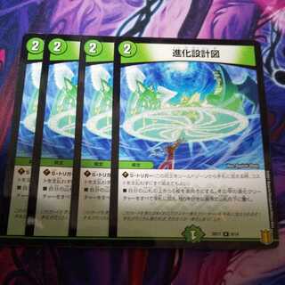 進化設計図 R-foil