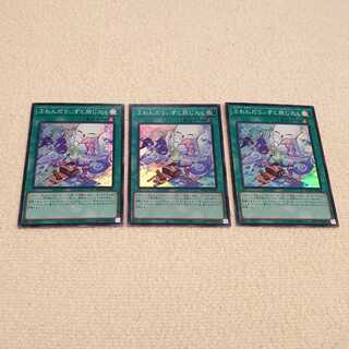 Fudanriizu to Tabi Jikkaku (Traveling with Fudanriizu)