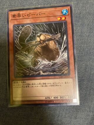 Madlace 3311 Nimble Beaver, normal rare.