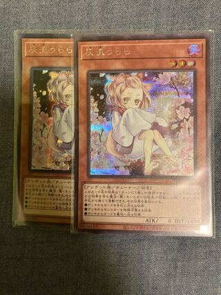 Madlace 3316Ash Blossom & Joyous Spring (illustrated outside Umi) Secret Rare