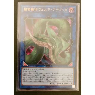 捕食植物ヴェルテ・アナコンダ