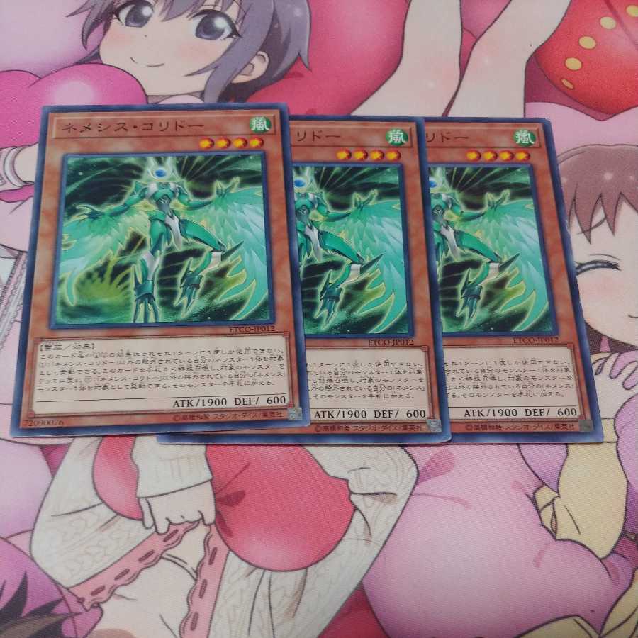 ネメシスコリドー