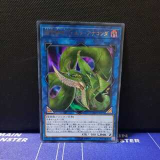 捕食植物ヴェルテ・アナコンダ　ウルトラレア