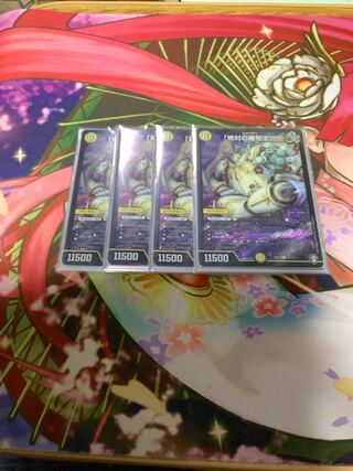 Knight of the Shield of the Absolute."