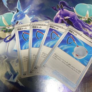 Scoop Up Net Set of 4