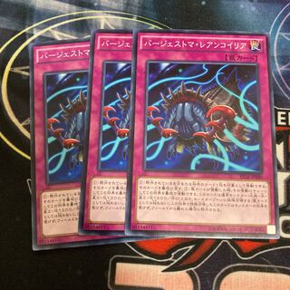 バージェストマ・レアンコイリア ノーマル　3枚