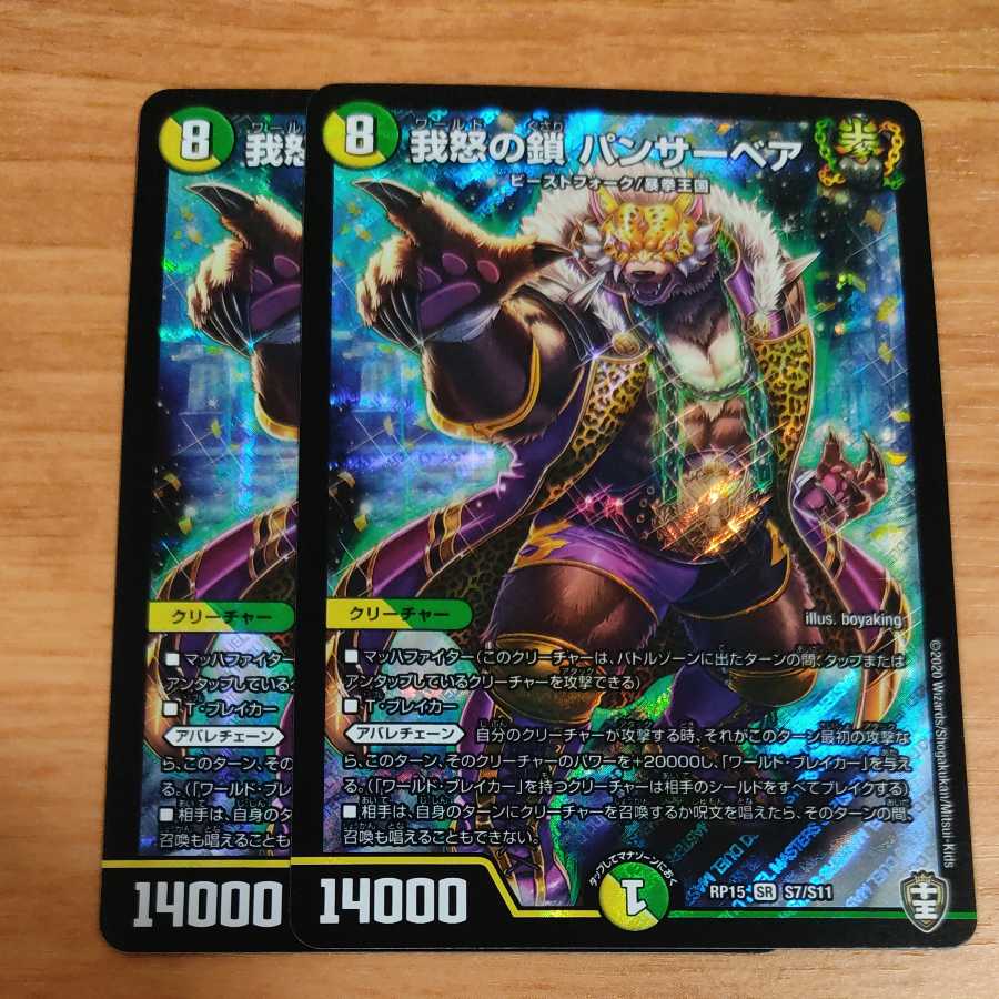 Chains of My Anger Panther Bear