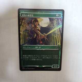 Tree Umi Practice Life Common (foil)