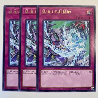 5075 猛進する剣闘獣 レア JP071