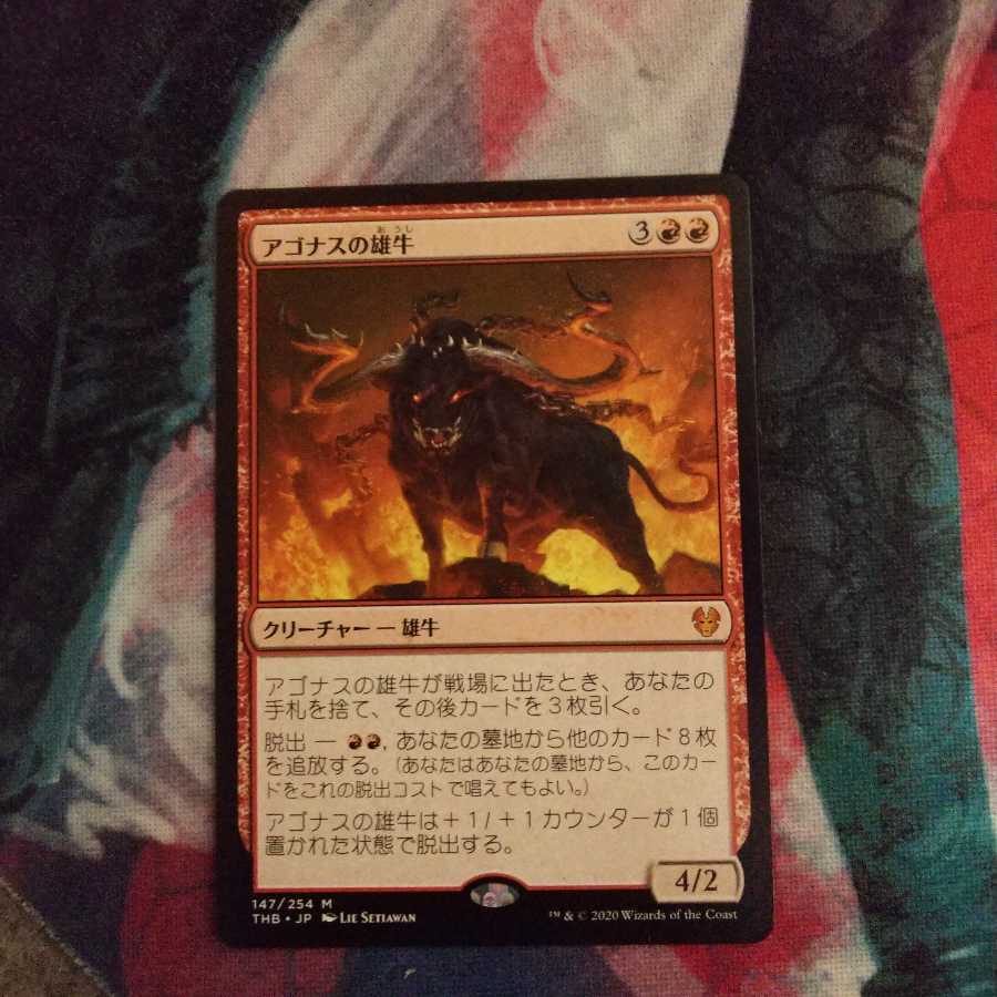 アゴナスの雄牛