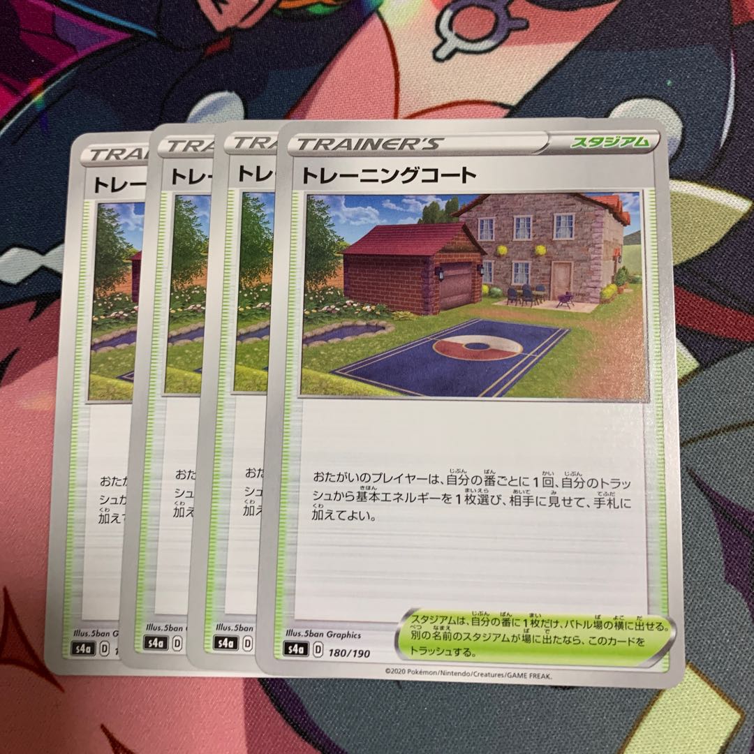 Training Court 4-piece set