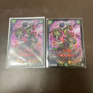 ドマンモ龍樹　専用