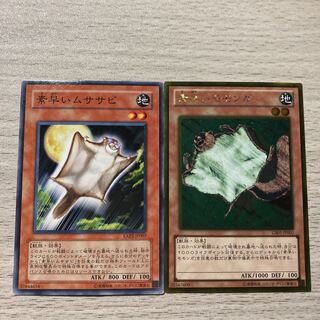 素早いモモンガ、素早いムササビ