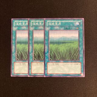 k16 湿地草原 3枚セット 遊戯王 トレトレ