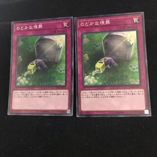 のどかな埋葬  　CHIM-JP077 SR 二枚