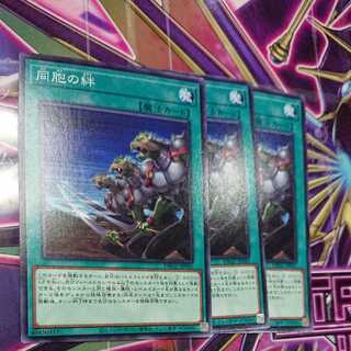 Ties of the Brethren