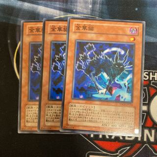 Kinka-byo Normal 3 sheets Special Price