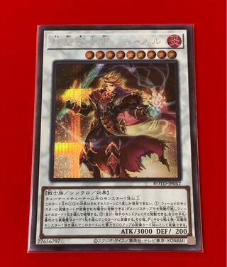 Flame Holy Knight Emperor - Charles Secret