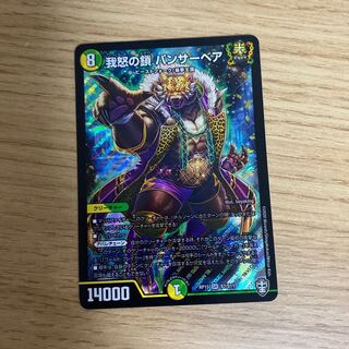 我怒の鎖 パンサーベア