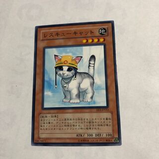 Rescue Cat Normal 1枚