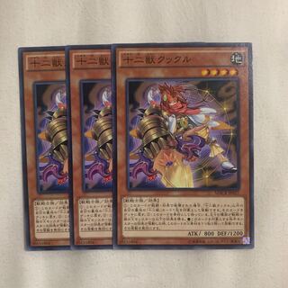 Zoodiac Kataroost Normal