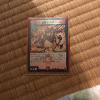 Dragon Costumers Bartu Squirrel