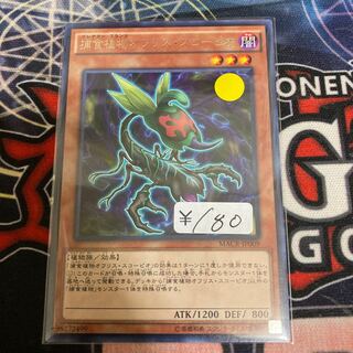 Predaplant Ophrys Scorpio Rare 1 Sheet Special Price