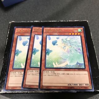 Spirit of the Fall Wind 3 rare