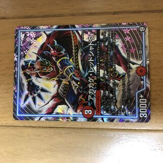 Red Lizard Red Shadow