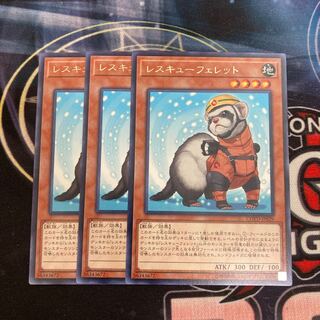 Rescue Ferret Rare, 3-card special